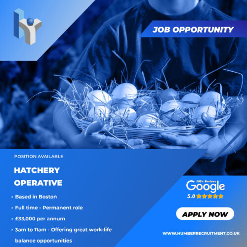 Hatchery Operative vacancy in Boston from Humber Recruitment