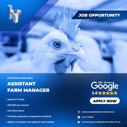 Assistant Farm Manager job vacancy in Thirsk from Humber Recruitment