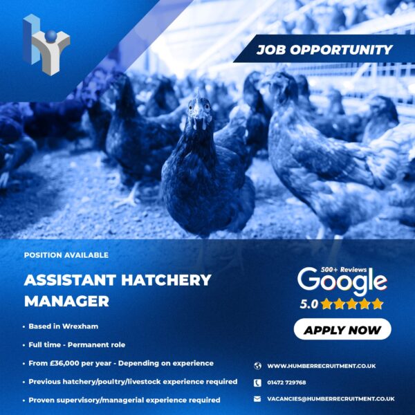 Assistant Hatchery Manager job vacancy in Wrexham from Humber Recruitment